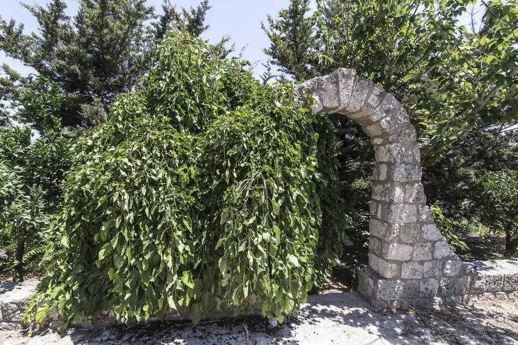 فافارا Country Sicily Home المظهر الخارجي الصورة